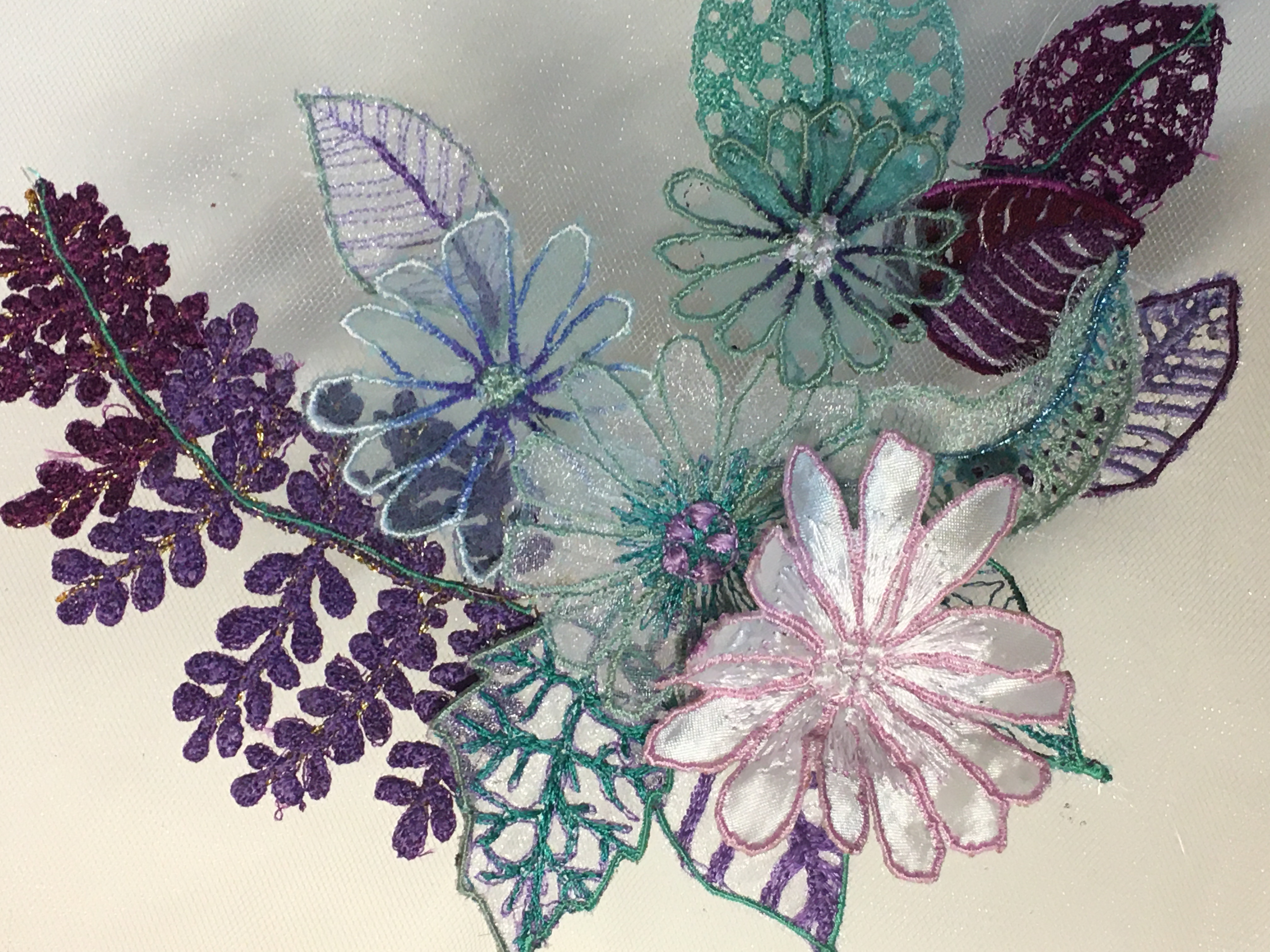 Botanical collection sample